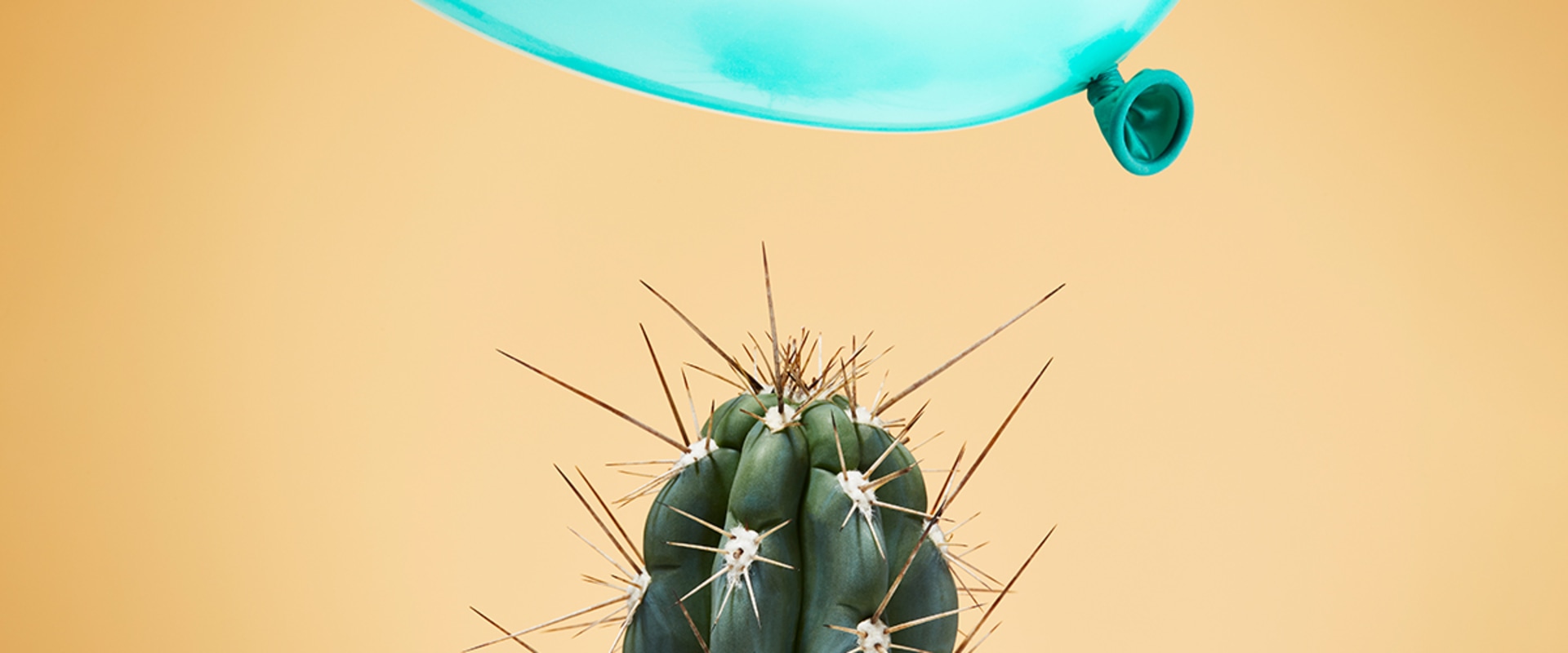 What are the benefits of implementing financial risk management?