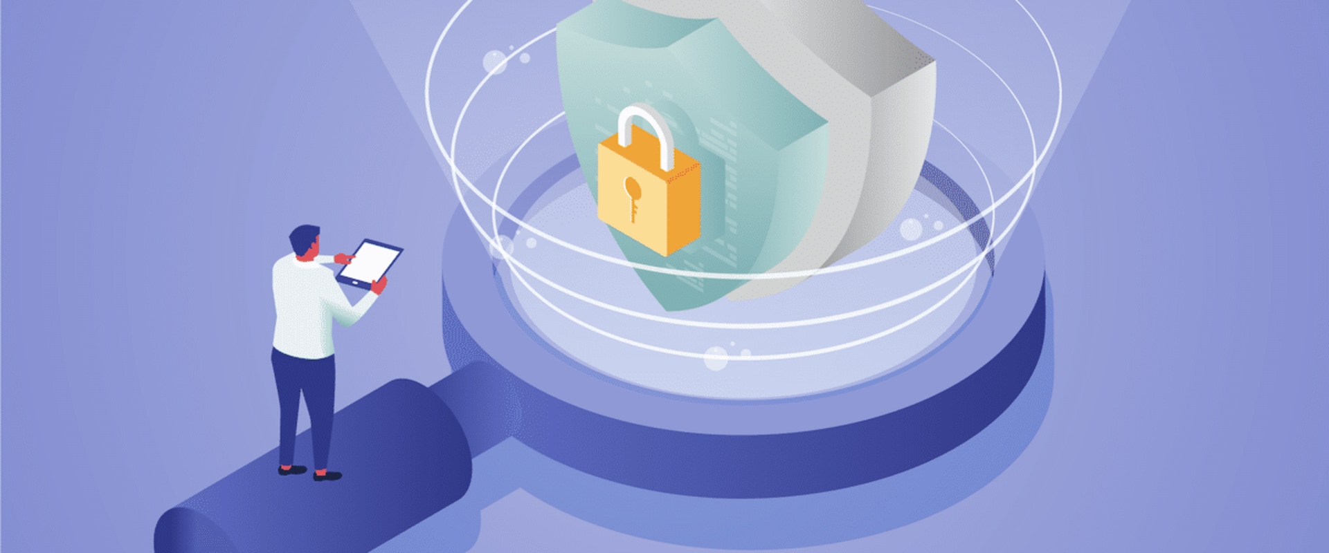 What should a risk management framework include?