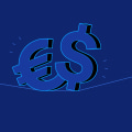 What does financial risk management mean?