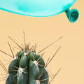 Who is responsible for risk management and what are their roles?