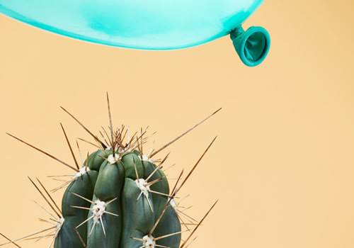 Who is responsible for risk management and what are their roles?